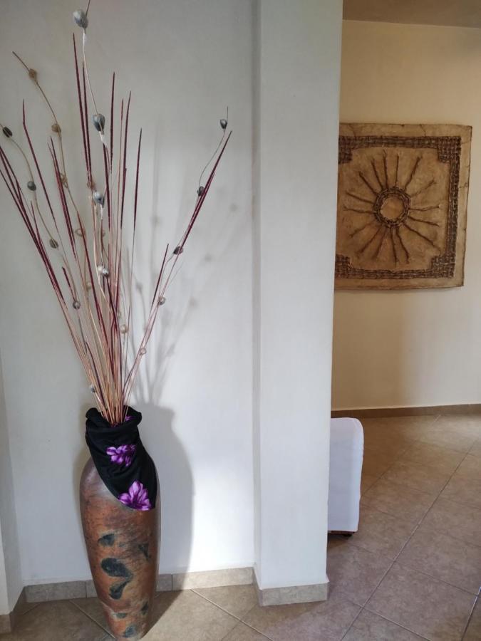 פוארטו מורלוס Balanca Studios מראה חיצוני תמונה